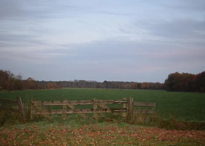 Boutique En De Zwammenberg 4*