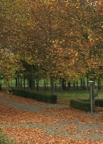 Boutique En De Zwammenberg 4* De Moer