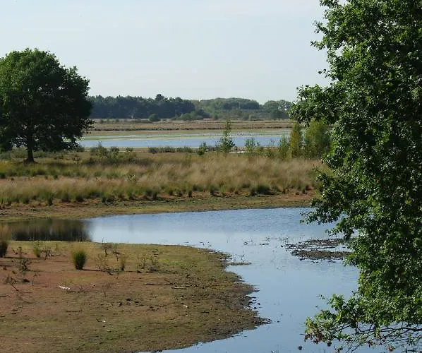 Boutique En De Zwammenberg De Moer