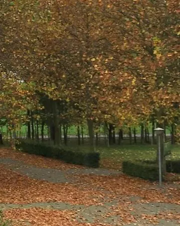 Boutique En De Zwammenberg 4* De Moer