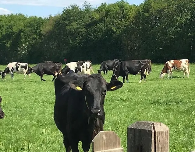 Hotel Boutique En De Zwammenberg